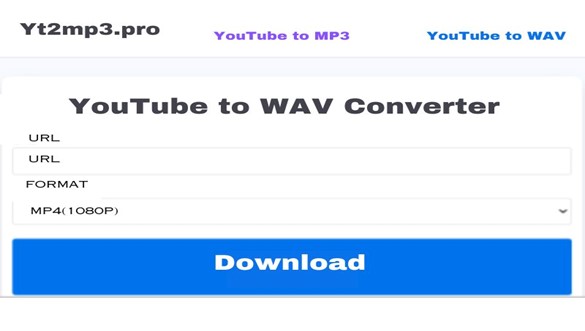 Our Free YouTube to MP3 Converter in Action