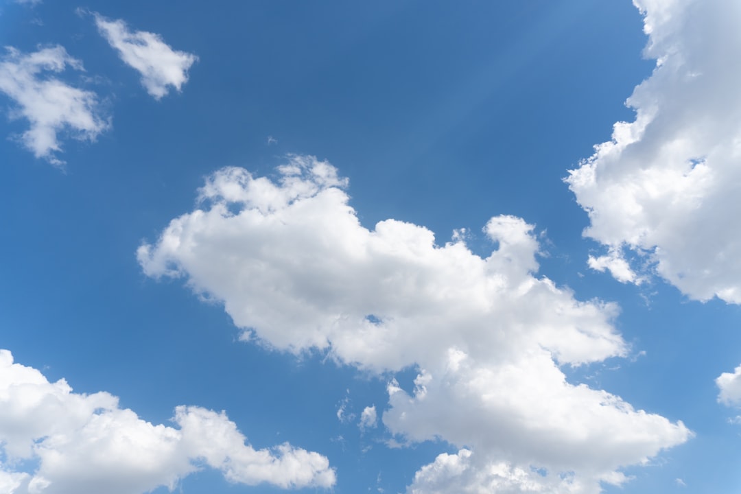 Top File Format Conversion Services to Simplify Your Digital Workflow in 2025