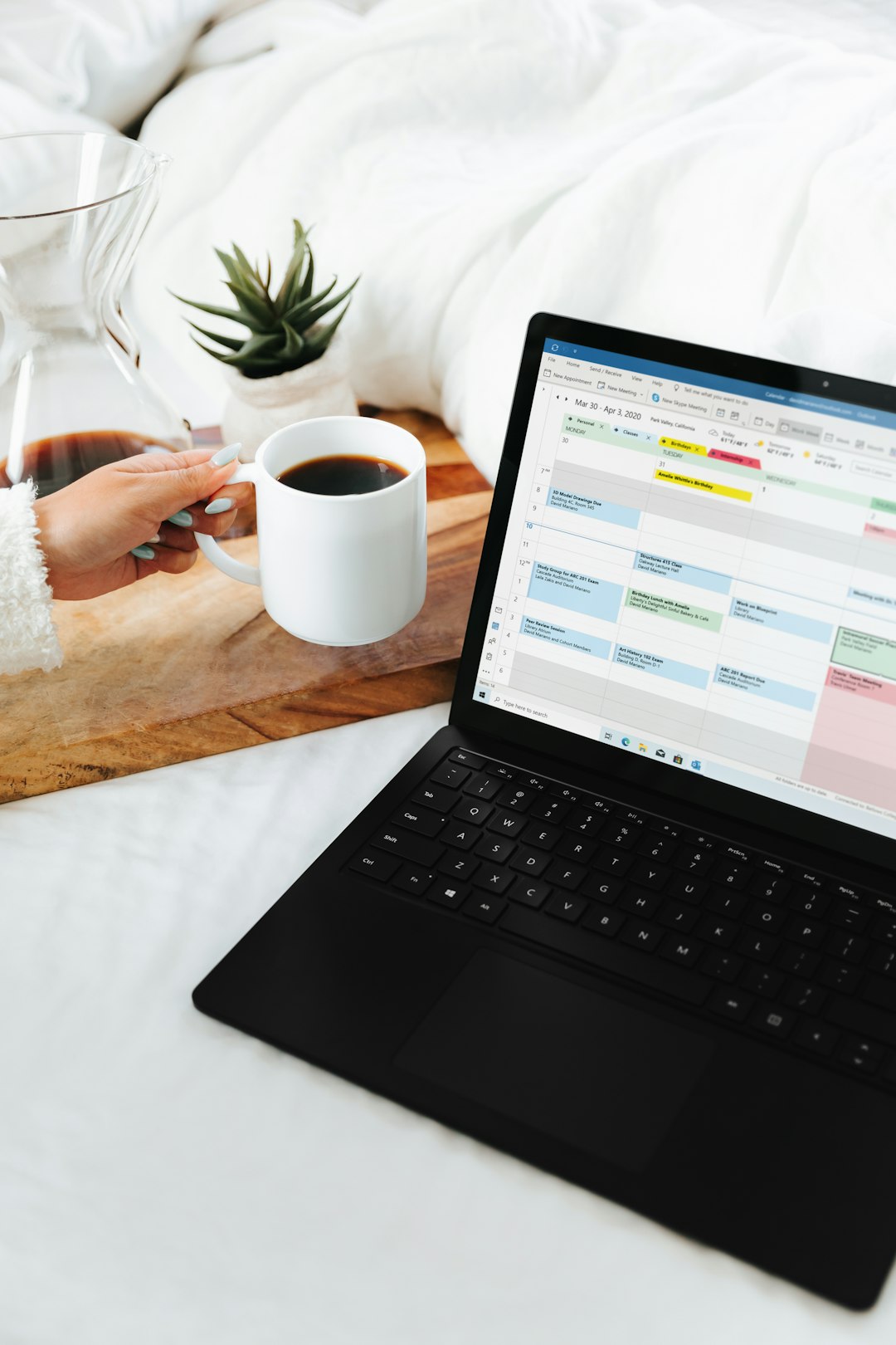 Free vs Premium WordPress Hotel Booking Plugins: Pros and Cons