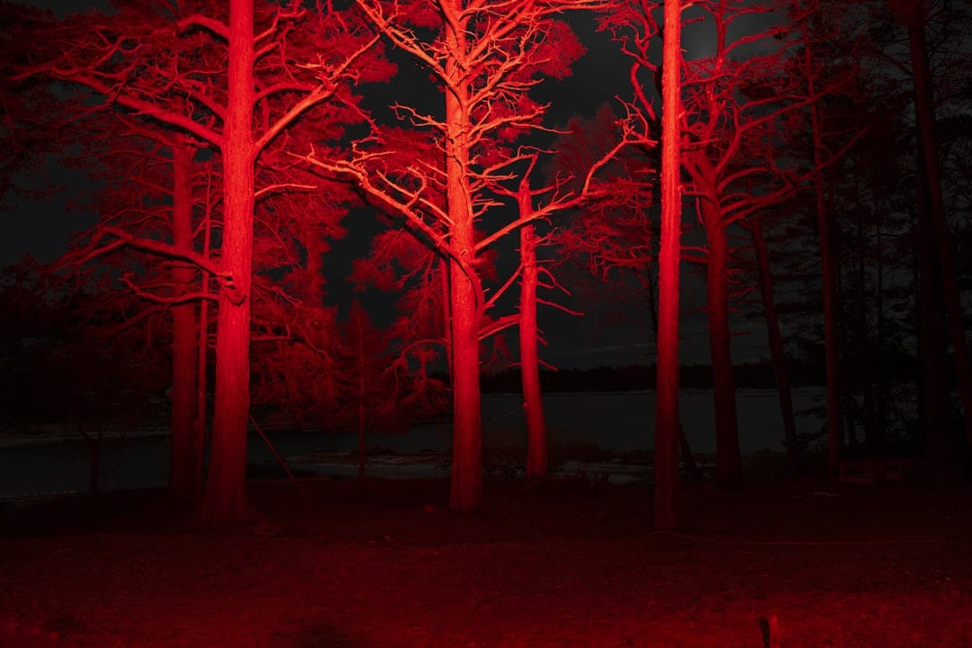 Adobe Firefly Alternatives for AI-Powered Image Generation