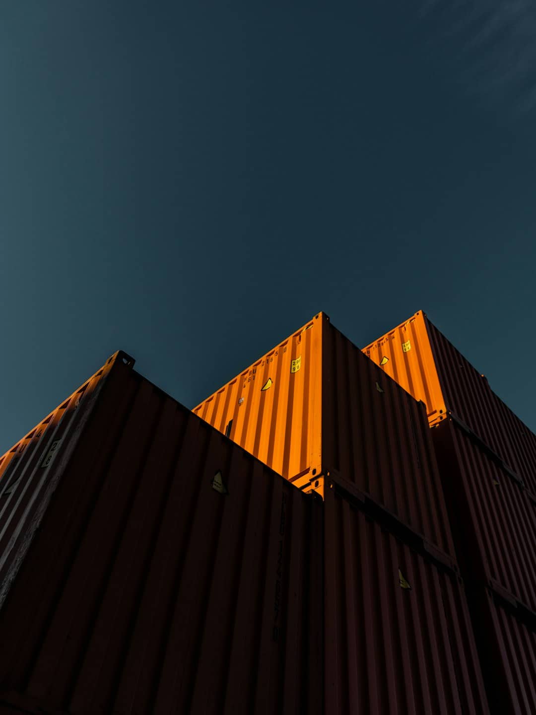 Best Commands to Update Immich Server Using CLI and Docker